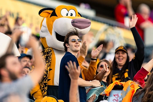 2026.06.19 Hamilton Tiger-Cats vs BC Lions photo 14