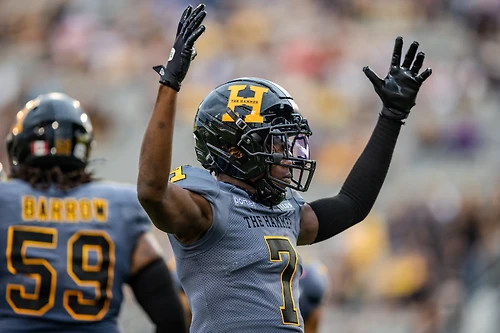 CFL - Hamilton Tiger-Cats vs Winnipeg Blue Bombers photo 4