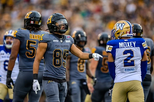 CFL - Hamilton Tiger-Cats vs Winnipeg Blue Bombers photo 5