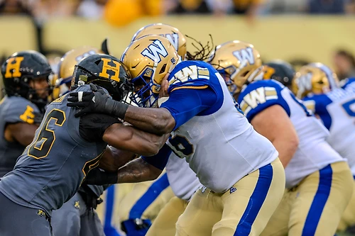 CFL - Hamilton Tiger-Cats vs Winnipeg Blue Bombers photo 8